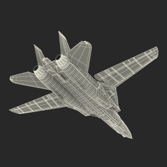 F-14 Model